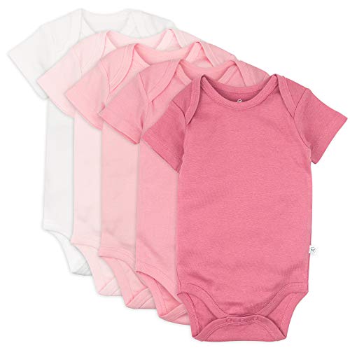 Honestbaby Organic Cotton Short Sleeve Bodysuits Multi Pack, 5 Pack Rose Blossom, 24 Months