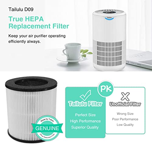 Tailulu Air Purifier Replacement Filter for D09 Air Cleaner, 3-in-1 True H13 HEPA Filter, 1 Pack