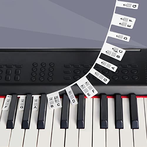 Removable Piano Key Stickers Note Labels for 88 Key Full Size Silicone Reusable Piano Keyboard Stickers for Beginners Comes with Box(Color)