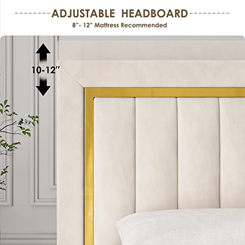 HITHOS Full Size Bed Frame with Adjustable Tufted Headboard, Velvet Upholstered Platform Bed Frame with Gold Trim, Heavy Duty Mattress Foundation with Steel Frame, Easy-Assembly Slats (Black, Full)
