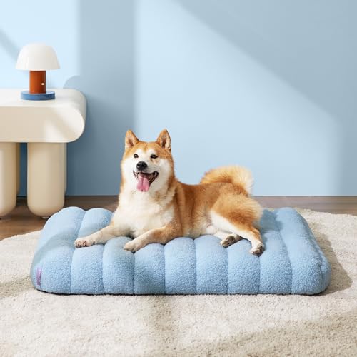 Lesure 4 Inch Thick Orthopedic Foam Dog Bed for Large Dogs, Waterproof Chic Flat Dog Bed with Removalbe Cover, Cute Fuzzy Pet Beds for Indoor Dogs (24" x 18", Blue