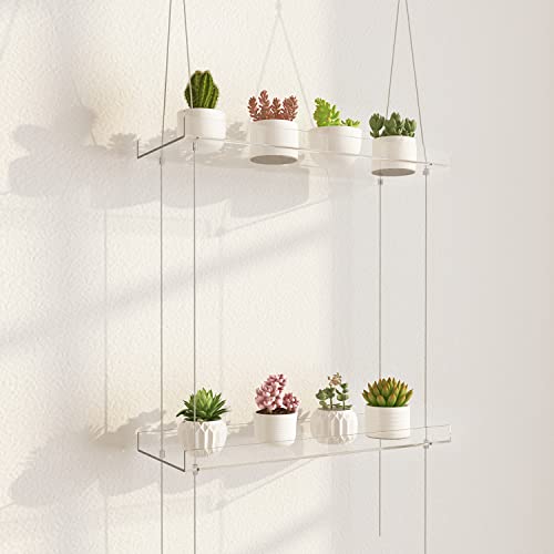 airogym 2-Tier Acrylic Plant Shelves for Window of Kitchen, 16 Inch Window Wall Clear Hanging Plant Stand, Height Adjustable Hanging Shelves for Indoor Window Plants, Succulents Flower Pots Organizer