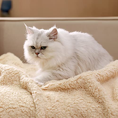 Luciphia Premium Fleece Dog Puppy Blanket Soft Pet Sherpa Calming Cat Blanket Throw for Small Medium Dog Cat(Beige,30x20 inches)