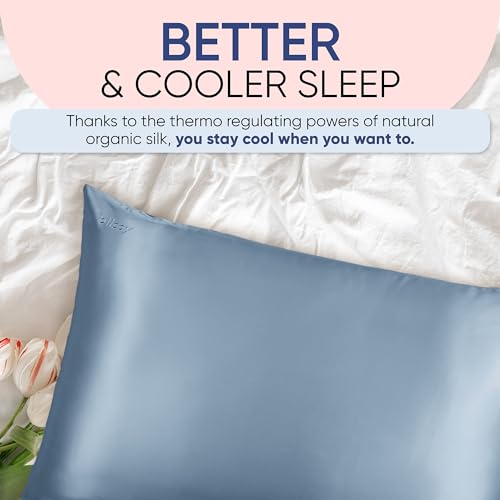 Blissy Silk Pillowcase - 100% Pure Mulberry Silk - 22 Momme 6A High-Grade Fibers - Silk Pillow Cover for Hair & Skin - Regular, Queen & King with Hidden Zipper (King, Pink)