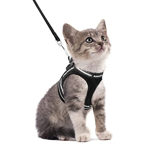 rabbitgoo Cat Harness and Leash Set for Walking Escape Proof, Adjustable Soft Kittens Vest with Reflective Strip for Cats, Comfortable Outdoor Vest, Red, M