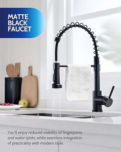 LUFEIDRA Black Kitchen Faucet with Pull Down Sprayer - High Arc Spring 304 Stainless Steel Single Hole Sink Faucet with Dual Function Pull-Down Sprayer for Bar Rv Kitchen, Matte Black