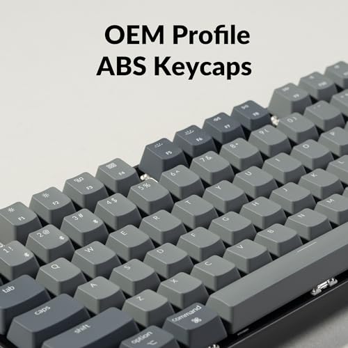 Keychron K8 Tenkeyless Wireless Mechanical Keyboard for Mac, White Backlight, Bluetooth, Multitasking, Type-C Wired Gaming Keyboard for Windows with Gateron G Pro Blue Switch