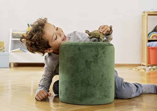 Schleich Dinosaurs Realistic Ankylosaurus Dinosaur Figure - Detailed Prehistoric Jurassic Dino Toy, Highly Durable for Education and Fun for Boys and Girls, Gift for Kids Ages 4+