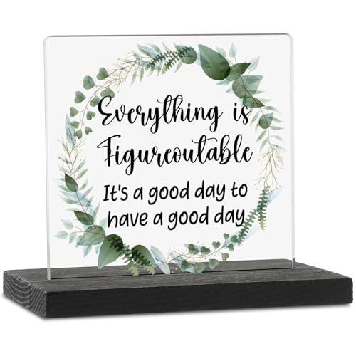 Never Forget The Difference You Make Positive Reminder Desk Decor Sign, but Did You Document It Funny Home Office Desk Plaque Gifts for Coworker Retirement Women Men Friend TZJ39