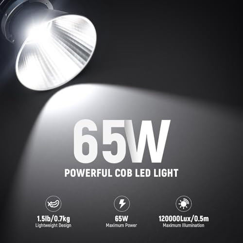 NEEWER MS60 LED Video Light with 2.4G/APP Control, 65W 5600K Daylight Mini COB Continuous Output Lighting, 40000lux/1m, CRI 97+/TLCI 98+, 9 Scenes, 0-100% PWM Dimming, Bowens Mount Adapter