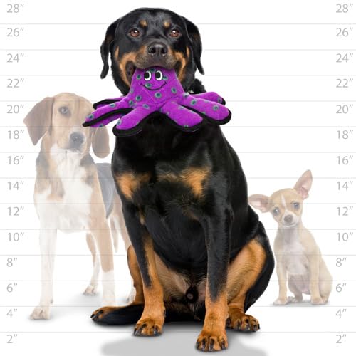 World's Tuffest Soft Dog Toy - Ocean Creature Small Octopus - Squeakers - Multiple Layers. Made Durable, Strong & Tough. Interactive Play (Tug, Toss & Fetch). Machine Washable & Floats