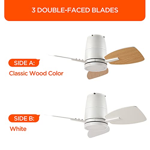 TALOYA Small Ceiling Fans with Lights and Backlight, 32 inch Ceiling Fan with Remote Control, Quiet Reversible DC Motor, 5 CCT Seleactable Modern Ceiling Fans for Bedroom Dining Room Patio White