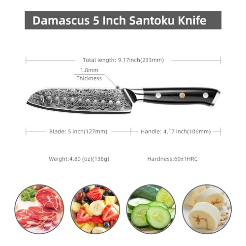 Sunnecko Damascus Chef Knife Japanese Santoku Knife 5 Inch Chopping Knife Vegetables, High Carbon Stainless Steel Knife with Gift Box