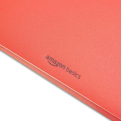 Amazon Basics Heavy Duty Plastic Folders with 2 Pockets for Letter Size Paper, Red and Blue, 2-Pack