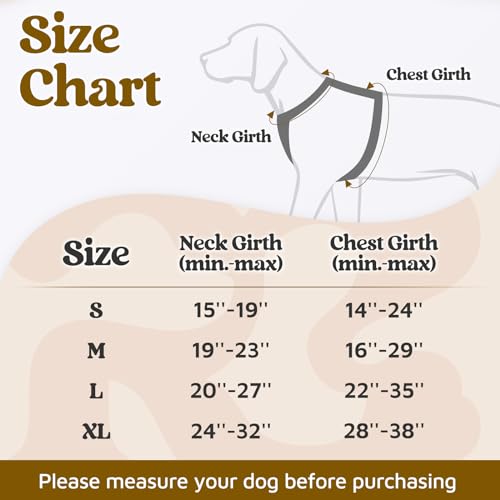 rabbitgoo Dog Harness Small Sized, No Pull Dog Vest Harness with 3 Buckles, Adjustable Soft Padded Pet Harness with Easy Control Handle and Reflective Strips, Black, S