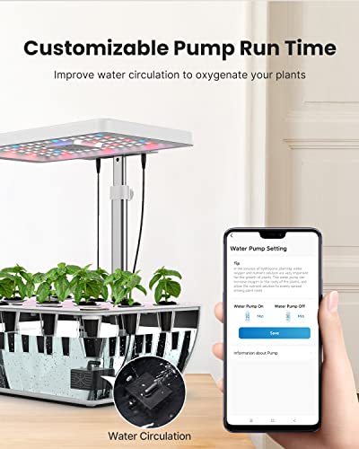 iDOO WiFi 12 Pods Hydroponic Growing System with 6.5L Water Tank, Smart Hydro Indoor Herb Garden Up to 14.5", Plants Germination Kit with Pump System, Fan, Grow Light for Home Kitchen Gardening, White