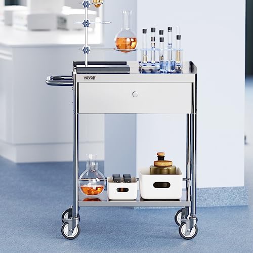 VEVOR Medical Cart, 2 Layers Stainless Steel Cart 220 lbs Weight Capacity, Lab Utility Cart with 360° Silent Wheels and a Drawer for Lab, Clinic, Kitchen, Salon, Silver