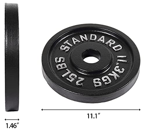 BalanceFrom Powergainz Olympic 2-Inch Cast Iron Plate Weight Plate for Strength Training and Weightlifting,Black POG-2INSTD-5X2