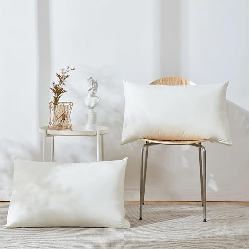 GagetElec Throw Pillows Insert,Bed and Couch Pillows,Indoor Decorative White Rectangular Pillows,Premium Pillows for Bed,Couch and Cushion (4 Pack, 24" X 16")