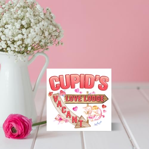 Internet Online Dating Sign,Pink Wood Sign Valentine's Day Home Decorations, Wood Box Sign Desk Decor for Tabletop Shelf Wall (5 X 5 Inches)