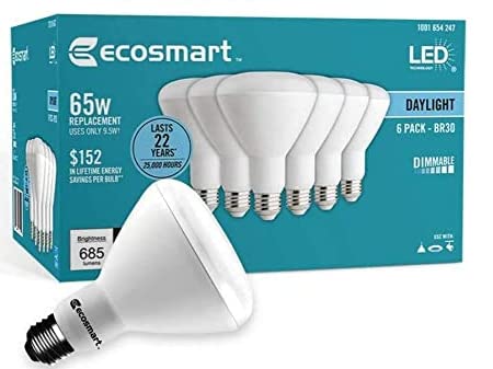 Ecosmart Daylight LED BR30 Dimmable Flood Bulb, 65W Replacement, 9 Watt, 685 Lumens - 5000K - Indoor/Outdoor Rated (6-Pack)