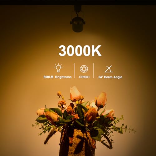 Arcfox H Type LED Track Light Head 9W 3000K Warm White ETL Multi Adjustable Angle 3 Wire Single Circuit Dimmable Track Lighting for Kitchen Dining Room Wall Art Exhibition (6 Pack, Black)