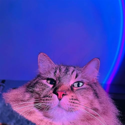 Neroupe Sunset Lamp Projector with APP Control Multicolor Changing Led Lights for Room, 360 Degree Rotation Sunlight Lamp Mood Lighting Bedroom Decor Christmas Gifts Photography for Women