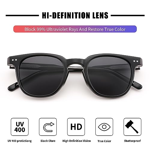 FEISEDY Classic Polarized Sunglasses Retro Round Sunglasses for Women Men Trendy Shades B0002