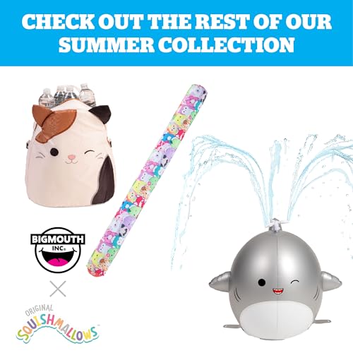 BigMouth x Squishmallows Inflatable Pool Noodle for Swimming, Fun Summer Water Toys for Kids - Squishmallow Characters