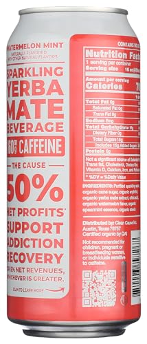 Clean Cause Organic Sparkling Watermelon Mint Yerba Mate, 16 FZ