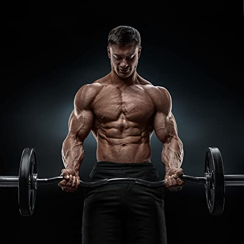 EZ Bar Curl Barbell 4ft-22LB 330LBS Capacity Olympic Bearing Barbell (330LB-Black)