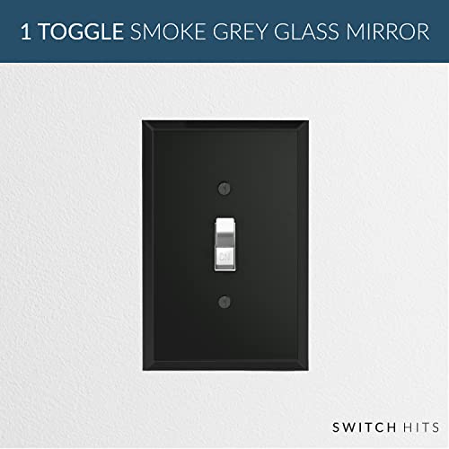 Switch Hits Black Glass Mirror Double Light Switch Cover Plate | 2 Toggle | 5.25" x 5.25" | Professional Quality Glass Mirror Switch Wall Plate Covers For All Configurations