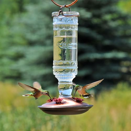 Perky-Pet 8107-1SR Antique Glass Bottle Hummingbird Feeder - Outdoor Garden Décor Hummingbird Feeder