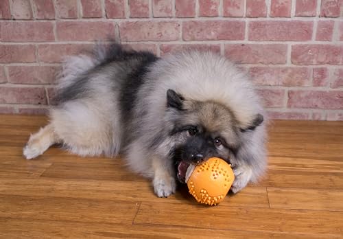 Starmark RubberTuff Treat Ball (Small), Orange