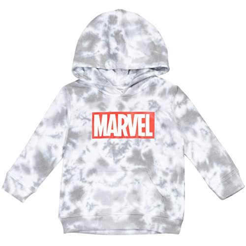 Marvel Avengers Spider-Man Big Boys Fleece Pullover Hoodie Red 14-16