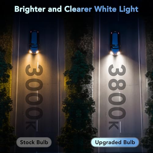 PERPOTAO H11 Halogen Bulbs, 12V 55W, 4000K White, High Performance, Brighter Whiter Light, High/Low Beam & Fog Light Bulb Replacement, Long Life, Plug and Play, 2 Pack