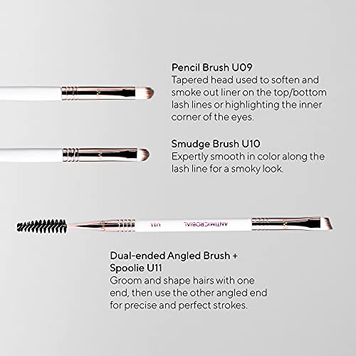 UVé Beauty Professional Bundle 11 PCs Makeup Brush Set Premium Synthetic Vegan Foundation Brush Blending Face Powder Blush Concealers Eyeshadow Brush Make up Brushes Set