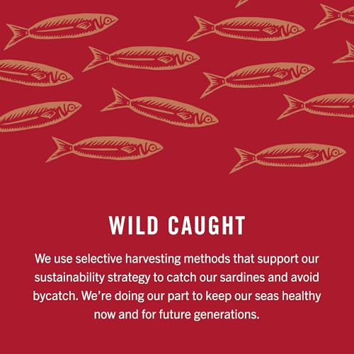 King Oscar Premium Sardines in Zesty Tomato Sauce, 3.75 Ounce Cans (Pack of 12), Wild Caught Canned Sardines