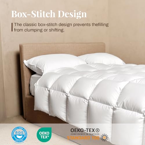 HOMCHANG GOOSE Down Comforter King Size, Winter Heavyweight Feather Down Comforter, Warm Comforter, Noiseless Turning Down Duvet, Winnner of Muse Creative Awards (106"x90", White)