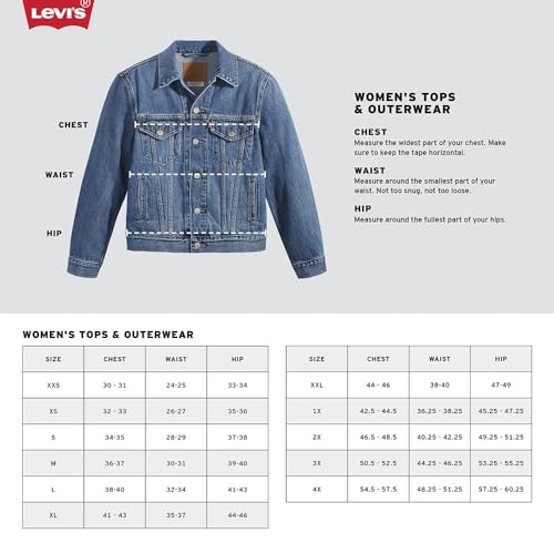 Levi's Women's Standard Crewneck Sweatshirt (Also Available in Plus), (New) Poster Logo Crew Porcelain Blue Graphic, XX-Large