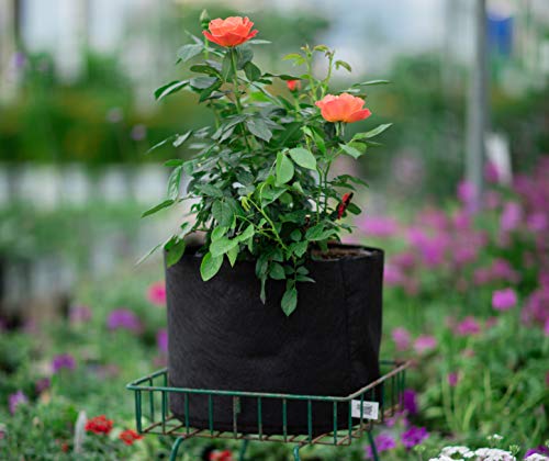 Smart Pots 100-Gallon Smart Pot Soft-Sided Container, Black