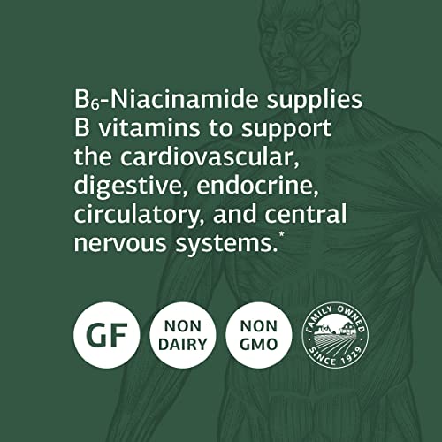 Standard Process B6-Niacinamide - Energy Metabolism, Heart Health, and Digestion Supplement with Vitamin B6, Niacin, Ascorbic Acid, Reishi Mushroom, Shiitake Mushroom, and More - 90 Tablets