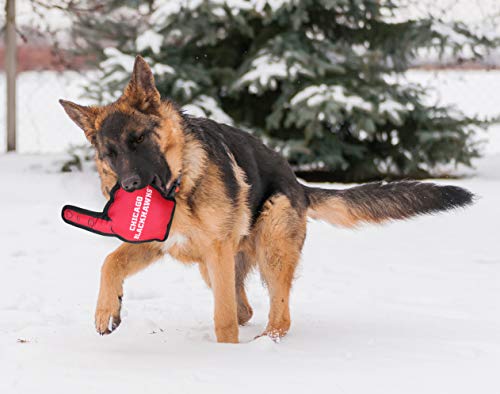 Pets First NHL Boston Bruins #1 Fan Toy for Dogs & Cats. Best Tough PET Toy with Inner Squeaker. Number One Premium Dog Toy for Strongest Chewers & Sports Fans, One Size