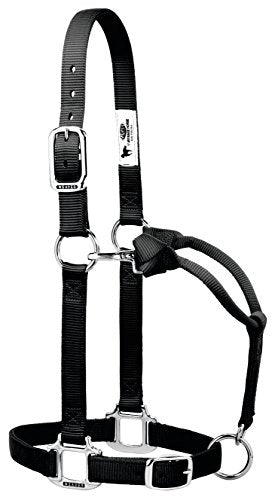 Weaver Leather 35-7374-BK Original Adjustable Nylon Halter with Chrome Plated Hardware, Black, 1" Small Horse