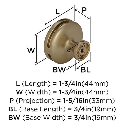 Amerock | Cabinet Knob | Golden Champagne | 1-3/4 inch (44 mm) Diameter | Oberon | 1 Pack | Drawer Knob | Cabinet Hardware