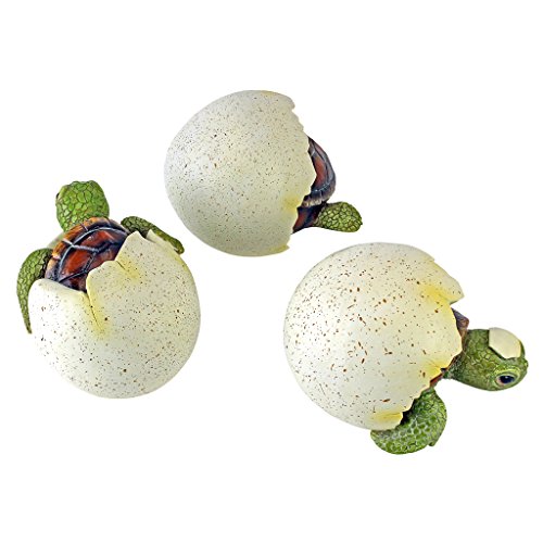 Design Toscano QM2562500 Out of the Shell Baby Turtle Triplet Statues,