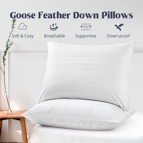 puredown® Goose Feather Down Pillows, Bed Pillows for Sleeping with 2 Outer Protectors, Hotel Standard/Queen Pillows Set of 2 (Pack of 2)