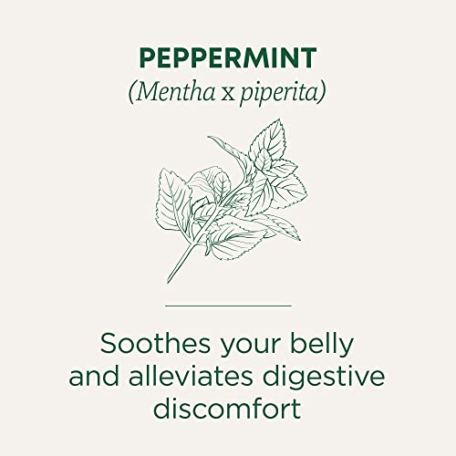 Traditional Medicinals Tea, Organic Peppermint, Soothes Your Belly, Refreshing & Minty, 16 Tea Bags