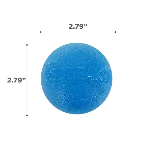 Outward Hound by Planet Dog Squeak Ball Bouncy Fetch Dog Toy, Blue