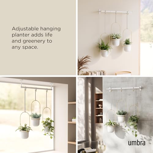 Umbra Triflora Hanging Planter for Window, Indoor Herb Garden, Set of 5, Black